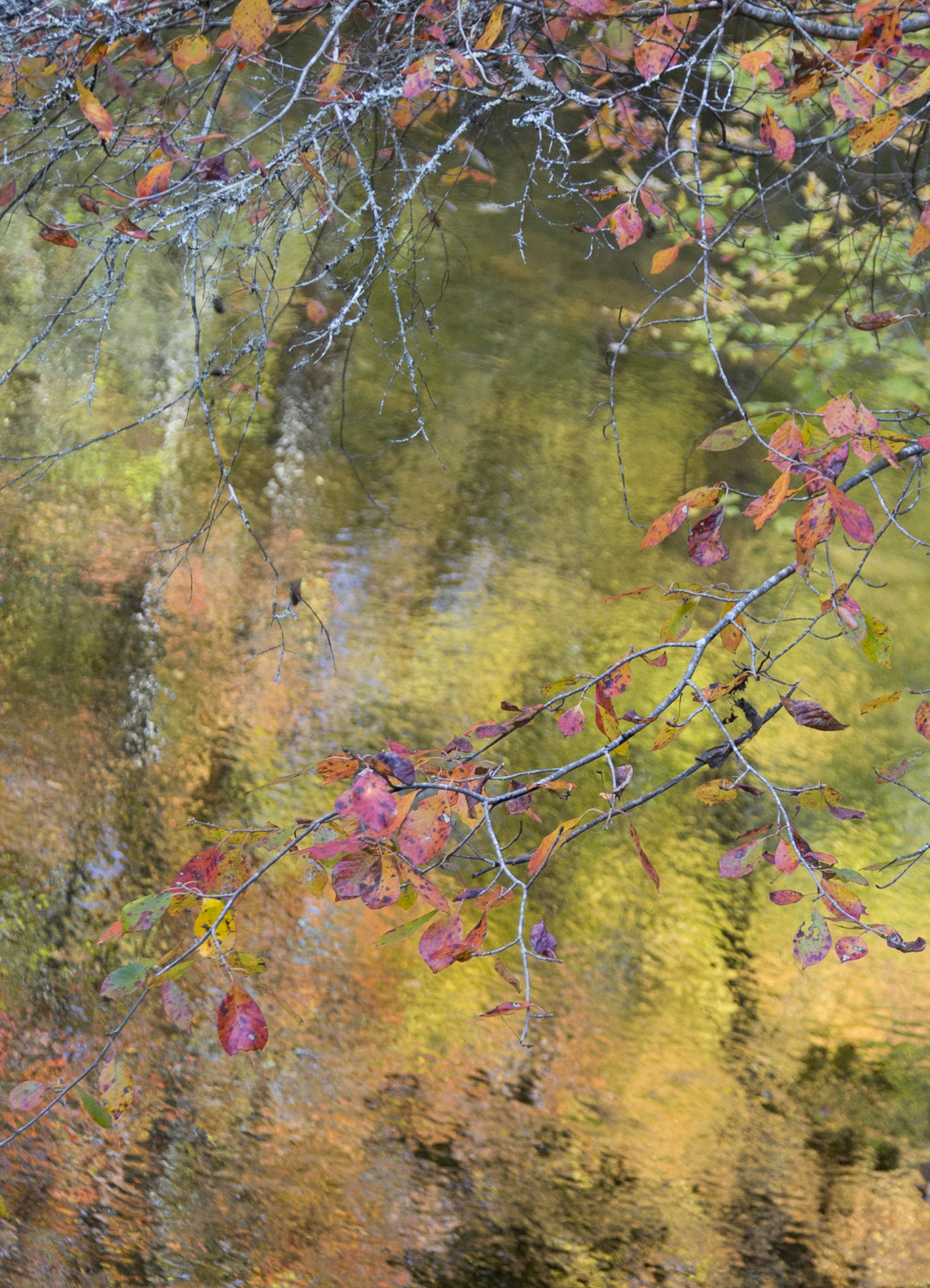 Diptych Two