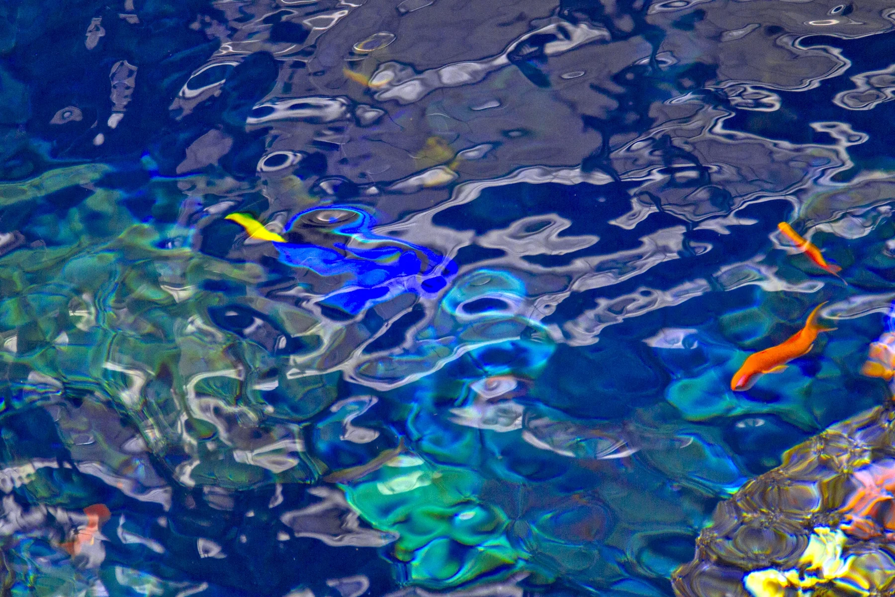 Aquarium
