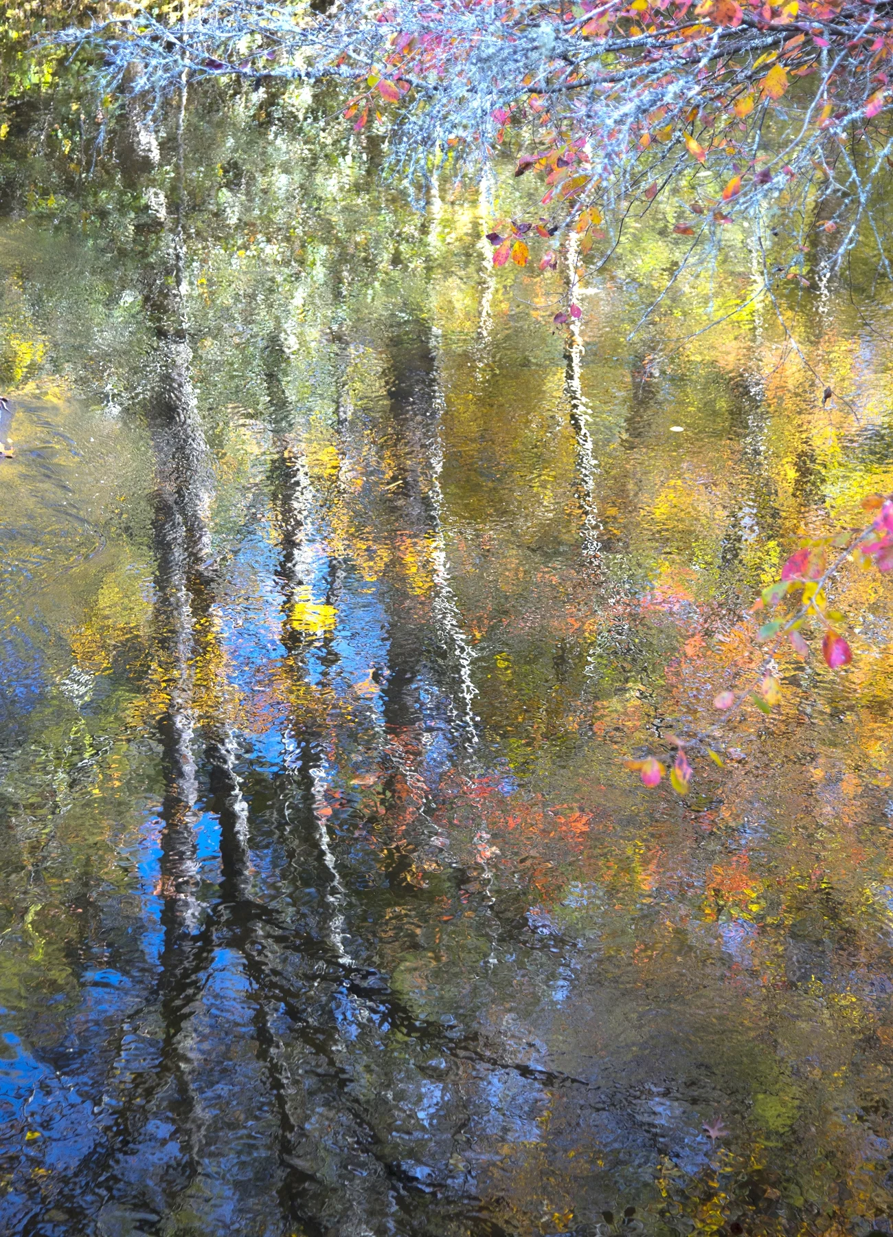 Diptych One