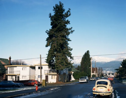 jeff_wall_pine_on_the_corner2-500x388.jpg