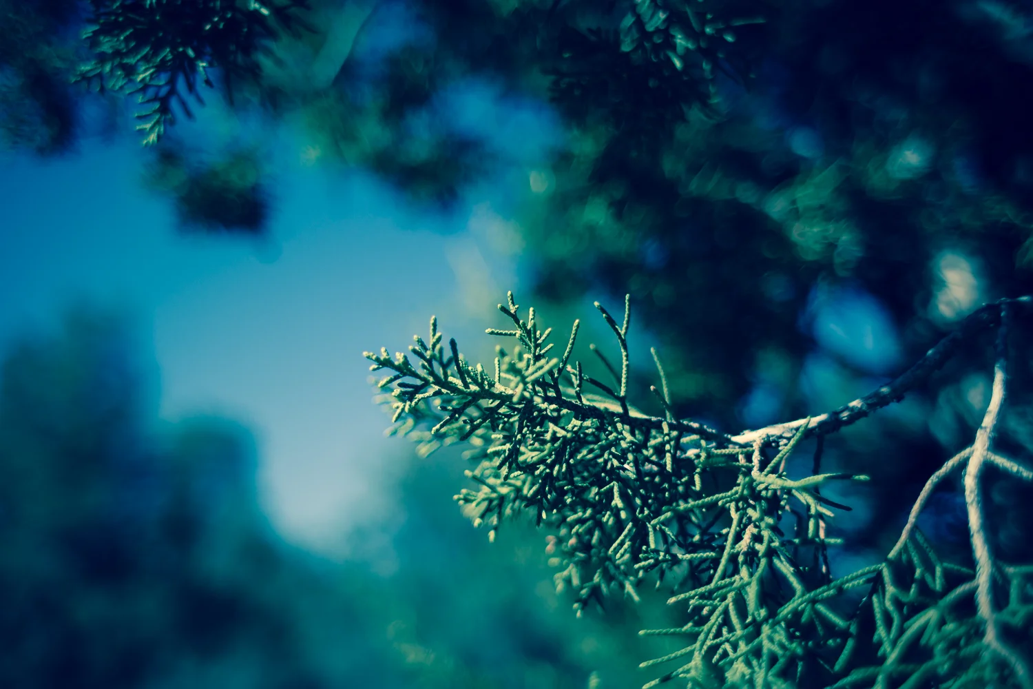20140413-533A1580.jpg