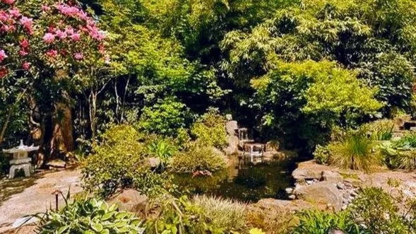 Ross NW Watergardens has 1000+ 5 star reviews
