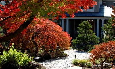 portland landscaping design
