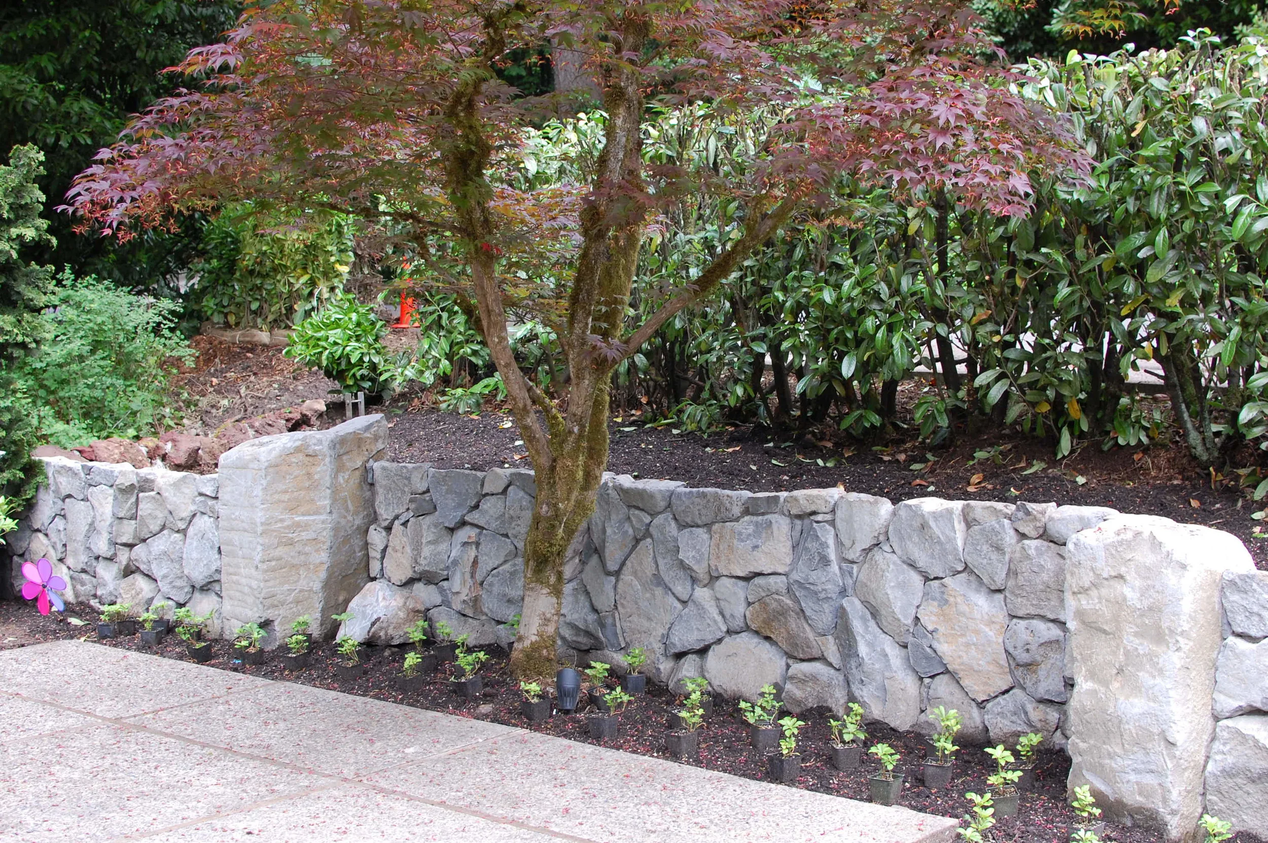 kid friendly landscape designs