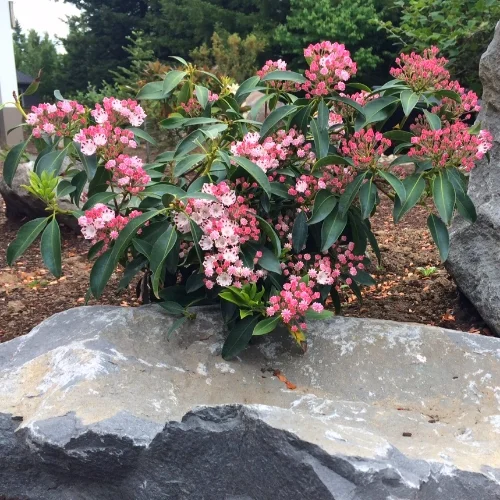 planting in cold weather