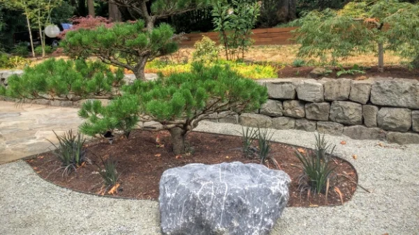 Decomposed Granite in a Japanese Garden