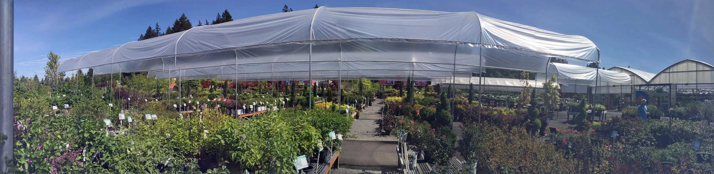 Landscape Designer's 5 Favorite Portland Nurseries