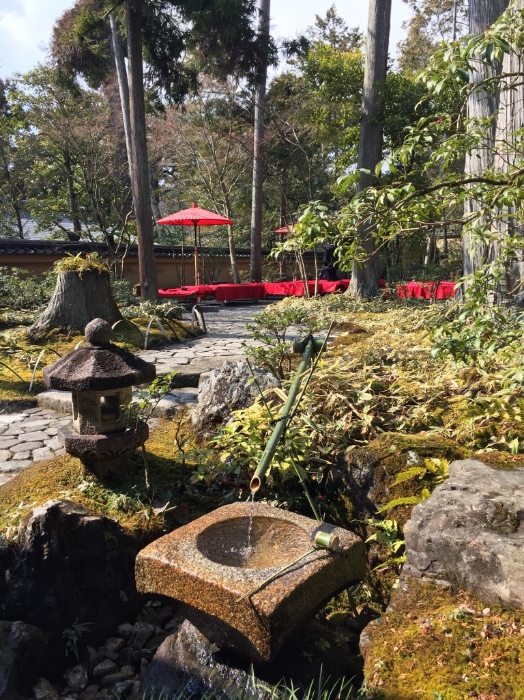 How I Came To Love Japanese Gardens (Guest Post)