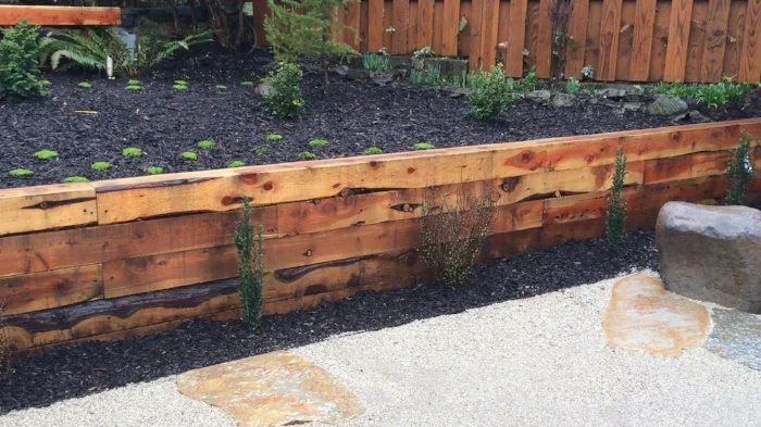  Juniper retaining wall. 