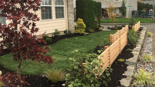 renovate your portland grass
