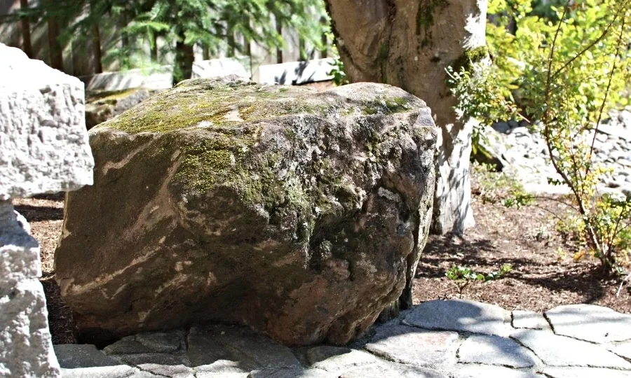   &nbsp; Moss covered  boulders  anchor the small but powerful garden. 