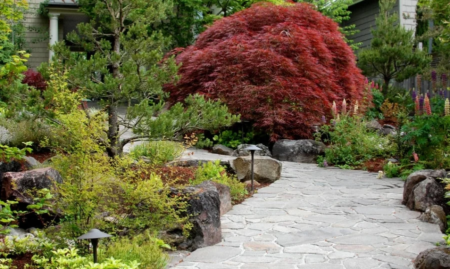  View of the  landscaping  from the front door of this lakeside home. 