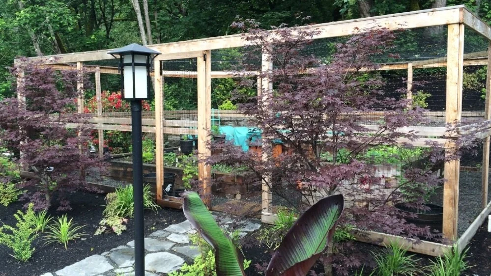  Cedar garden enclosure keeps deer away from raised vegetable beds in  West Linn  