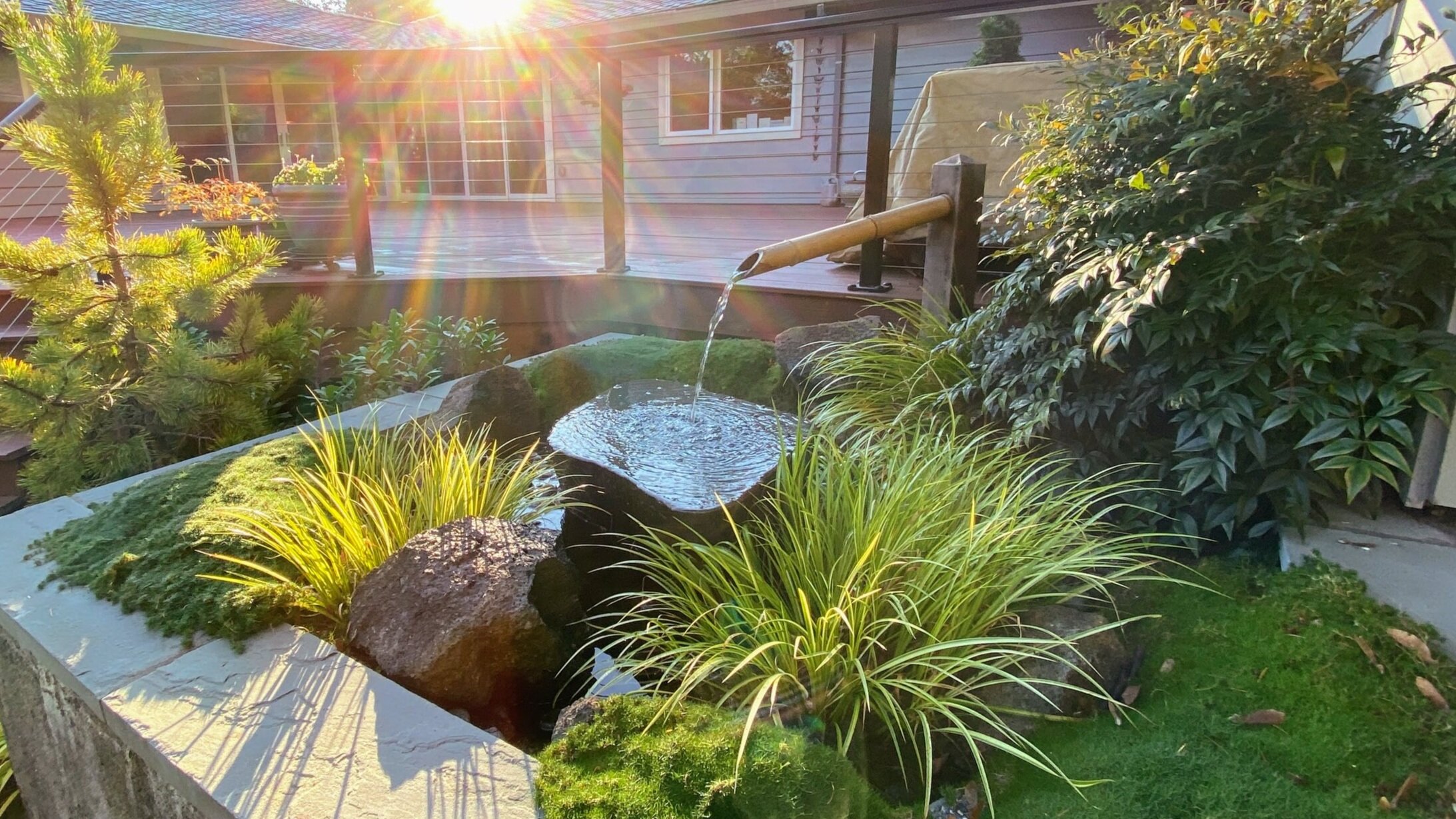 Ross NW Watergardens