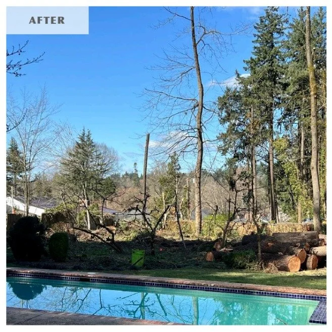 raleighwood pool landscaping.jpg