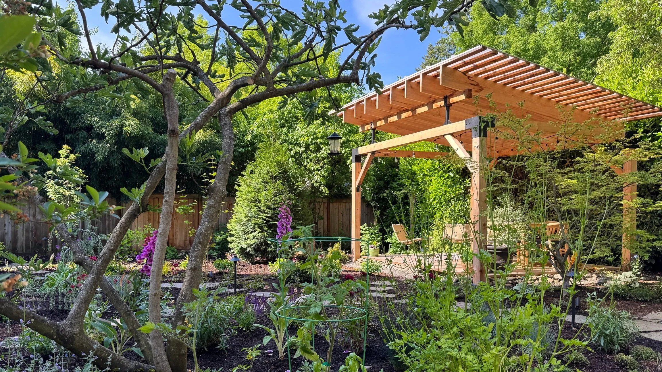 Dog Friendly Backyard with a Patio Cover