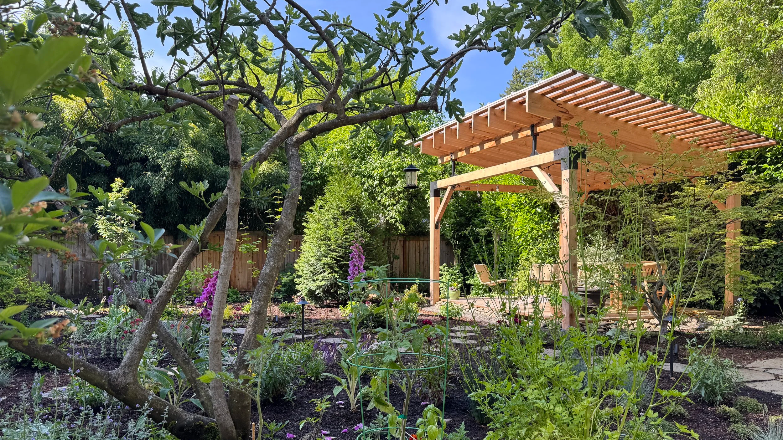 Portland BackYard Landscape Design.JPG