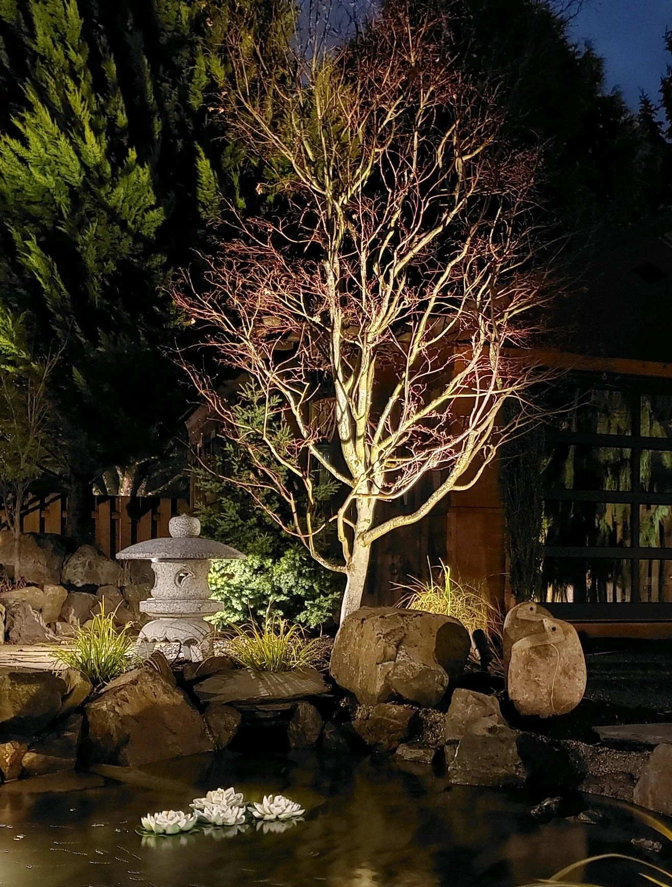 Landscape light design and installation