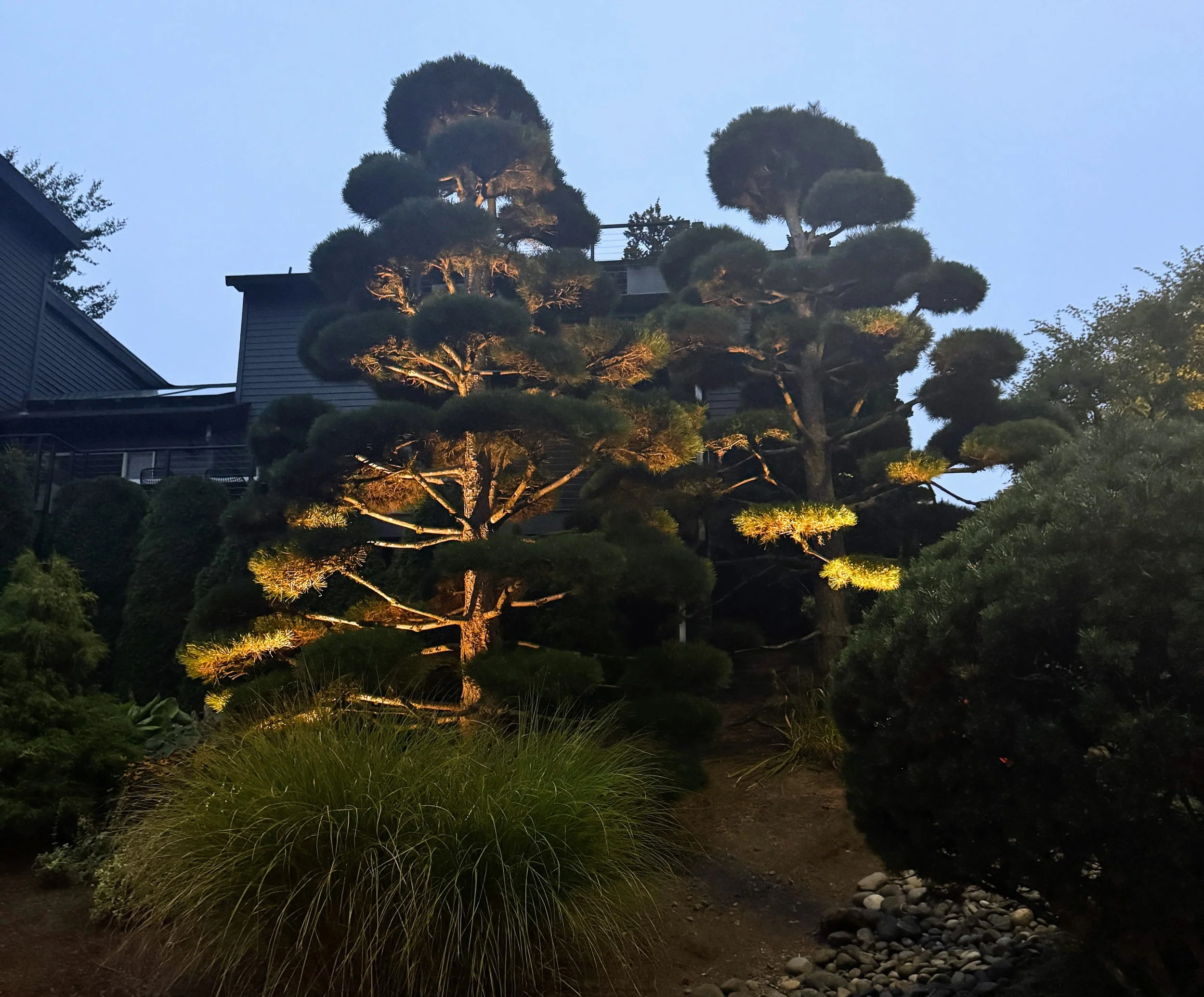 Garden lighting for Portland Oregon