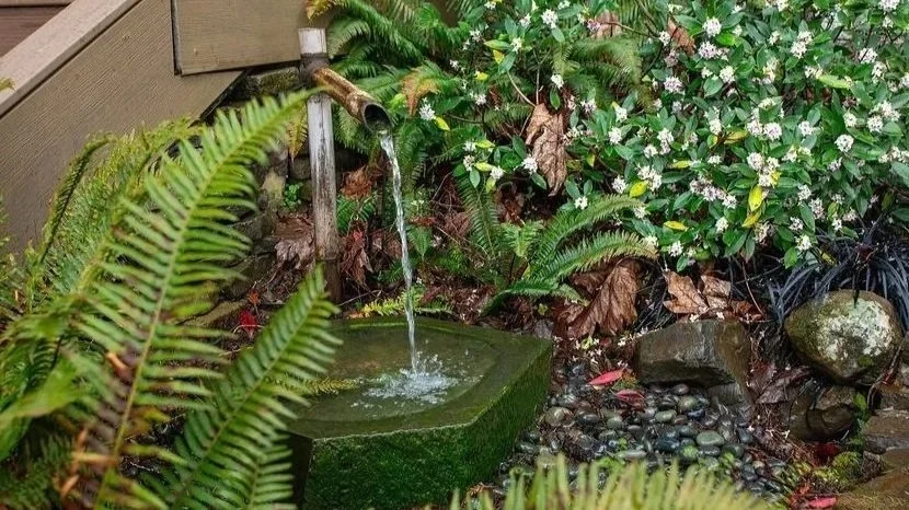 tsukubai water feature by ross nw watergardens