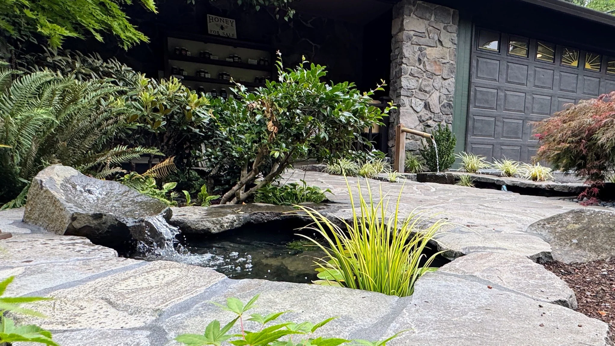 front yard water features.JPG
