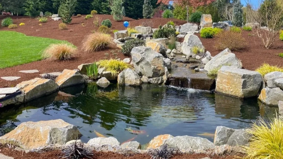 Koi pond in Oregon City, OR