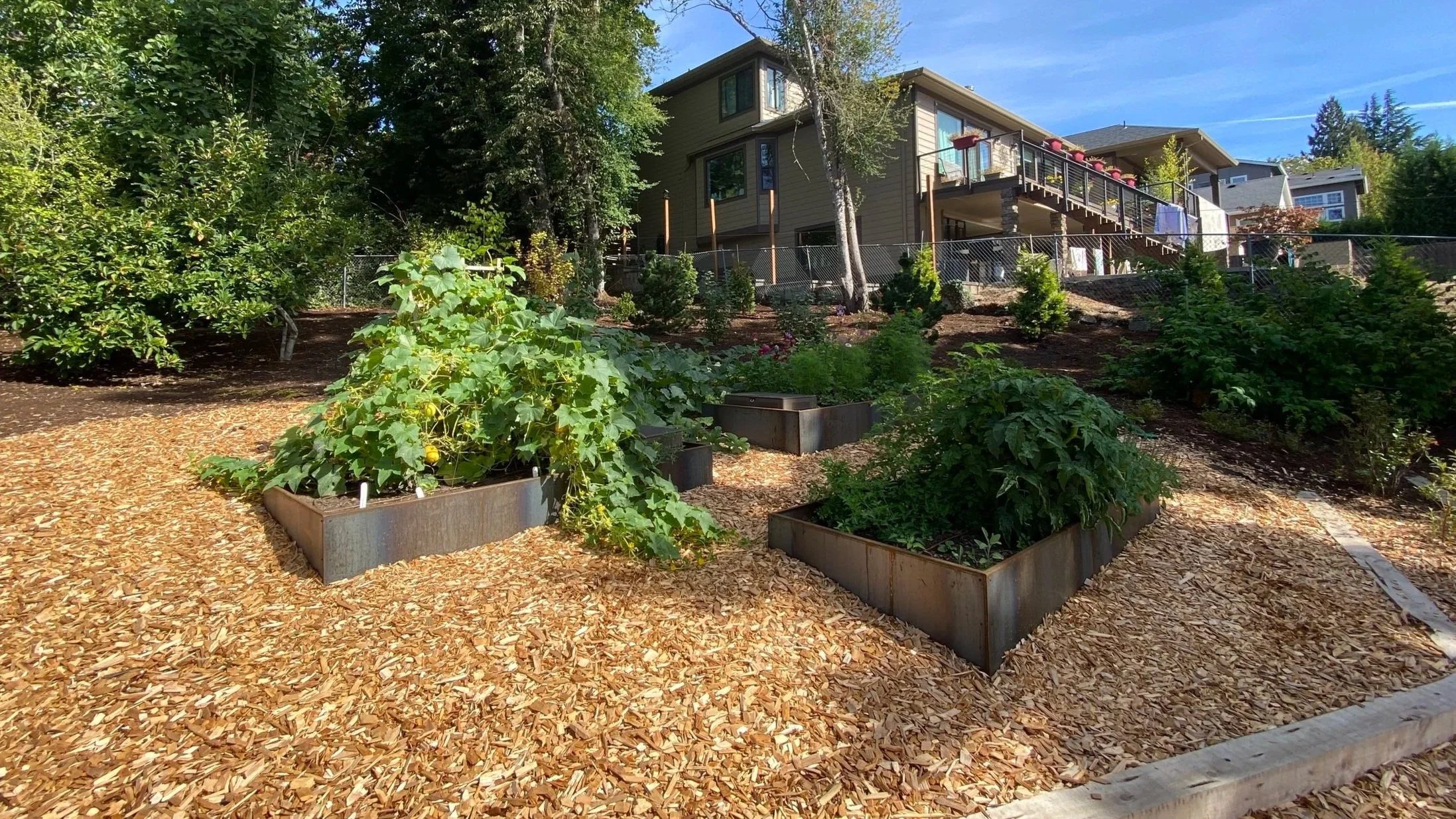 corten steel raised beds