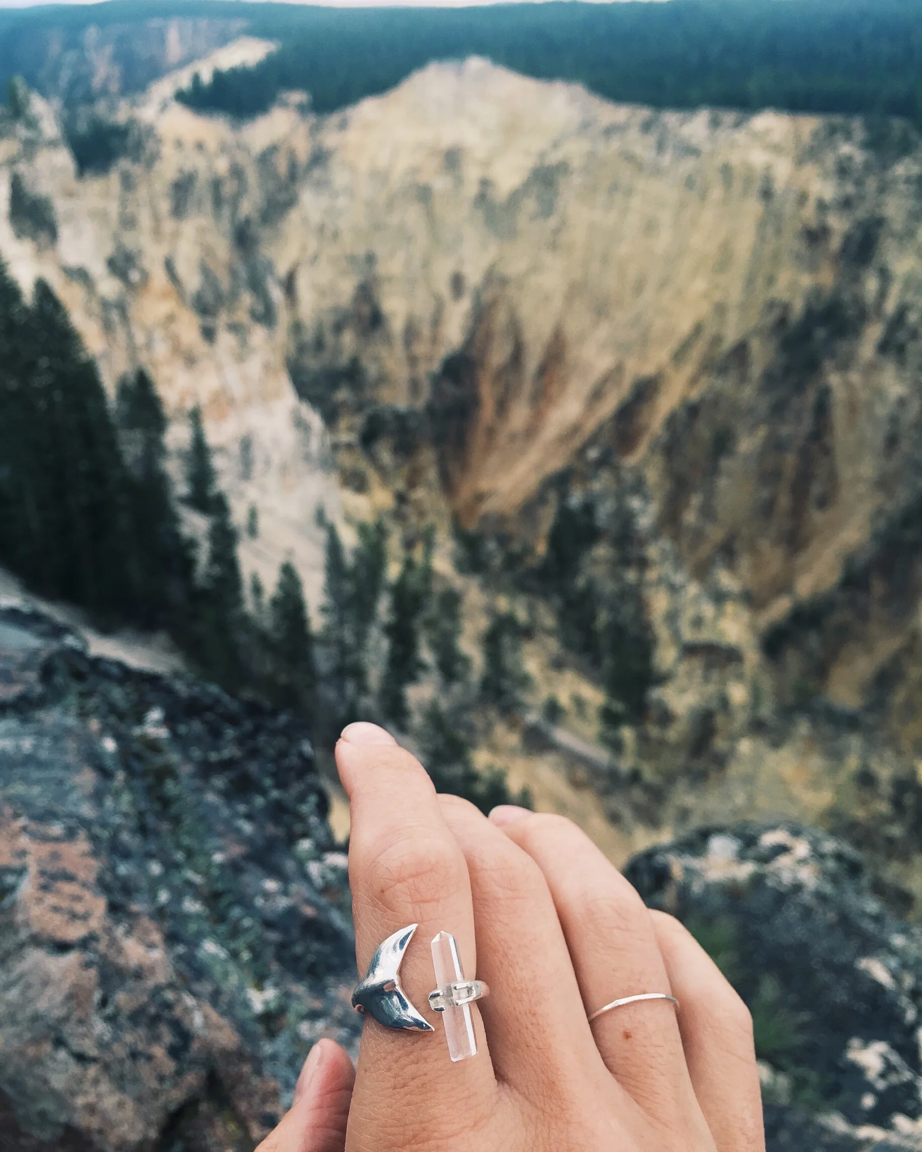 Overlooking Yellowstone's Grand Canyon. 