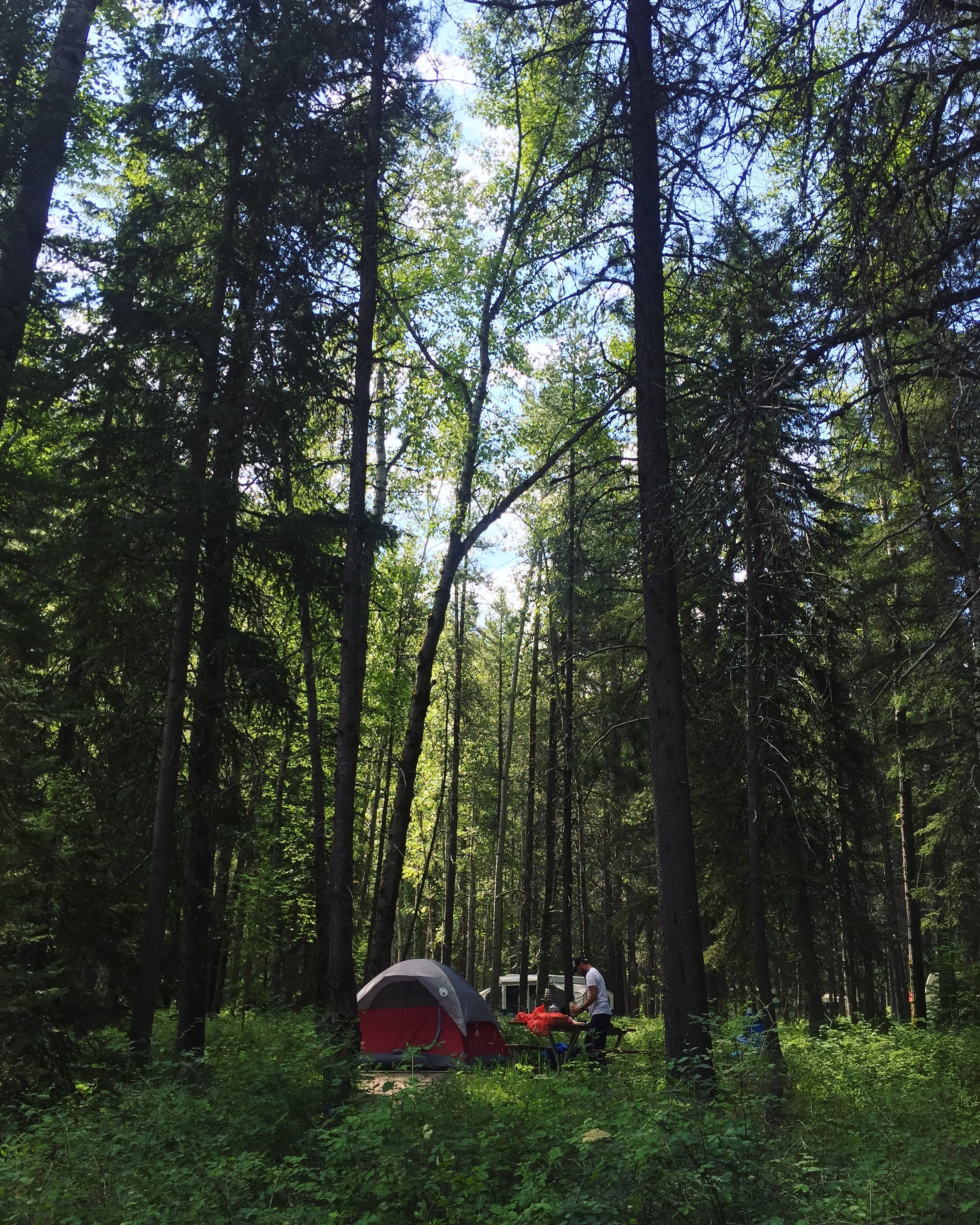 My husband setting up camp in the rain in Glacier National Park.