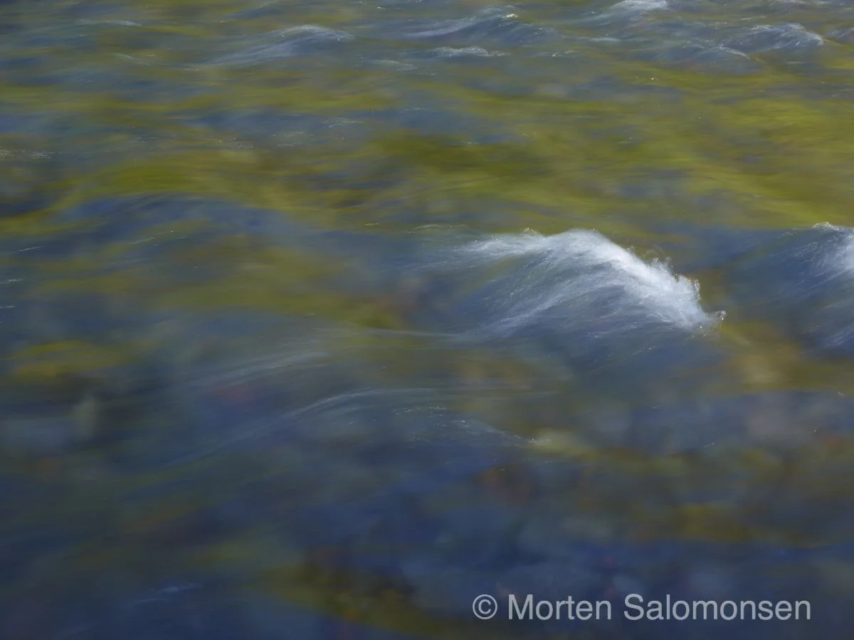 CF000242-MortenSalomonsen.jpg
