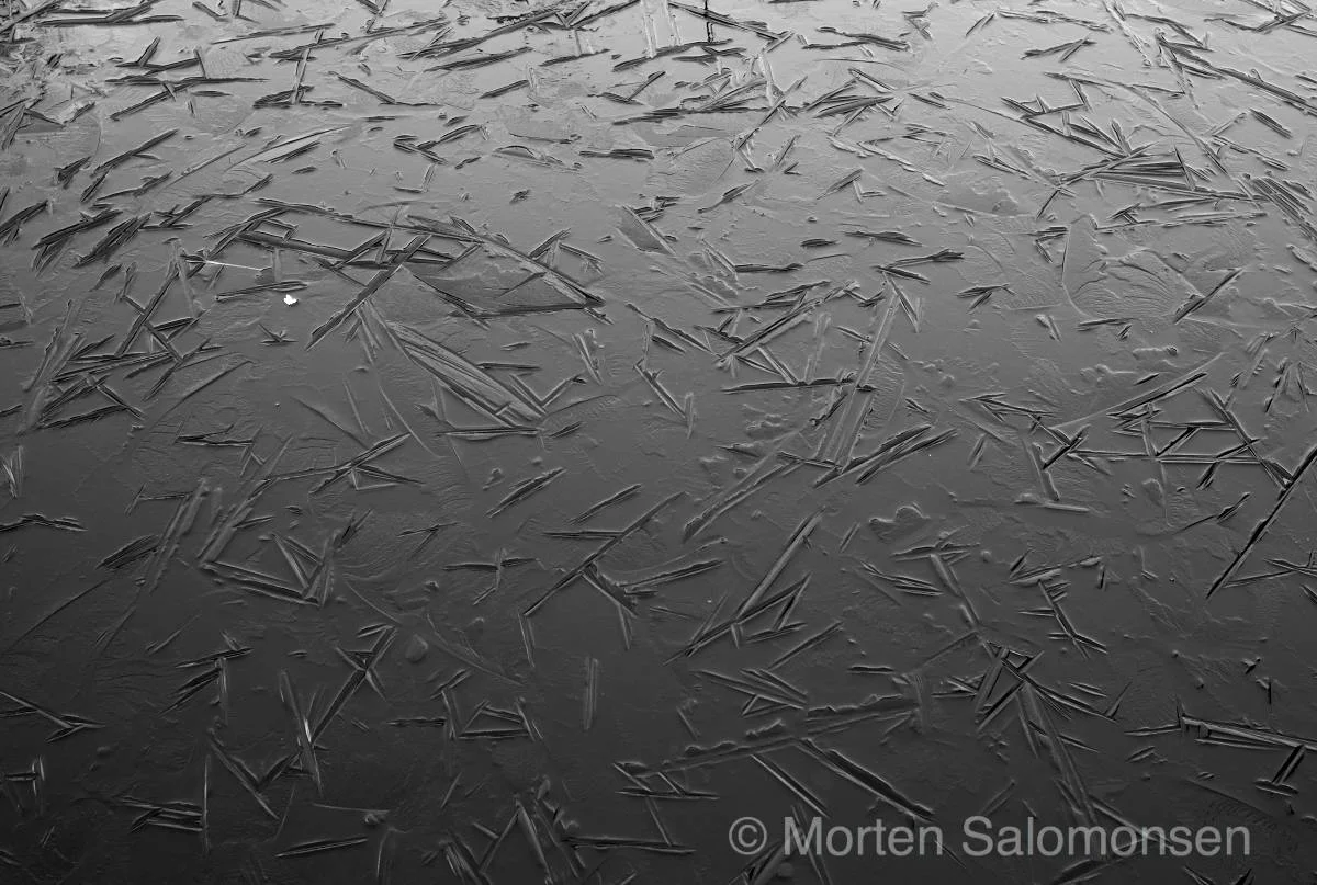 Transient