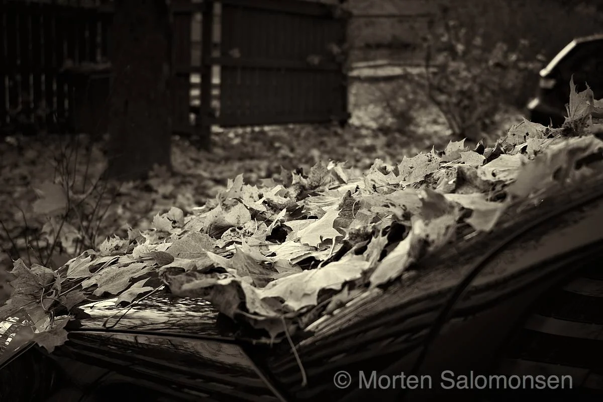 Transient