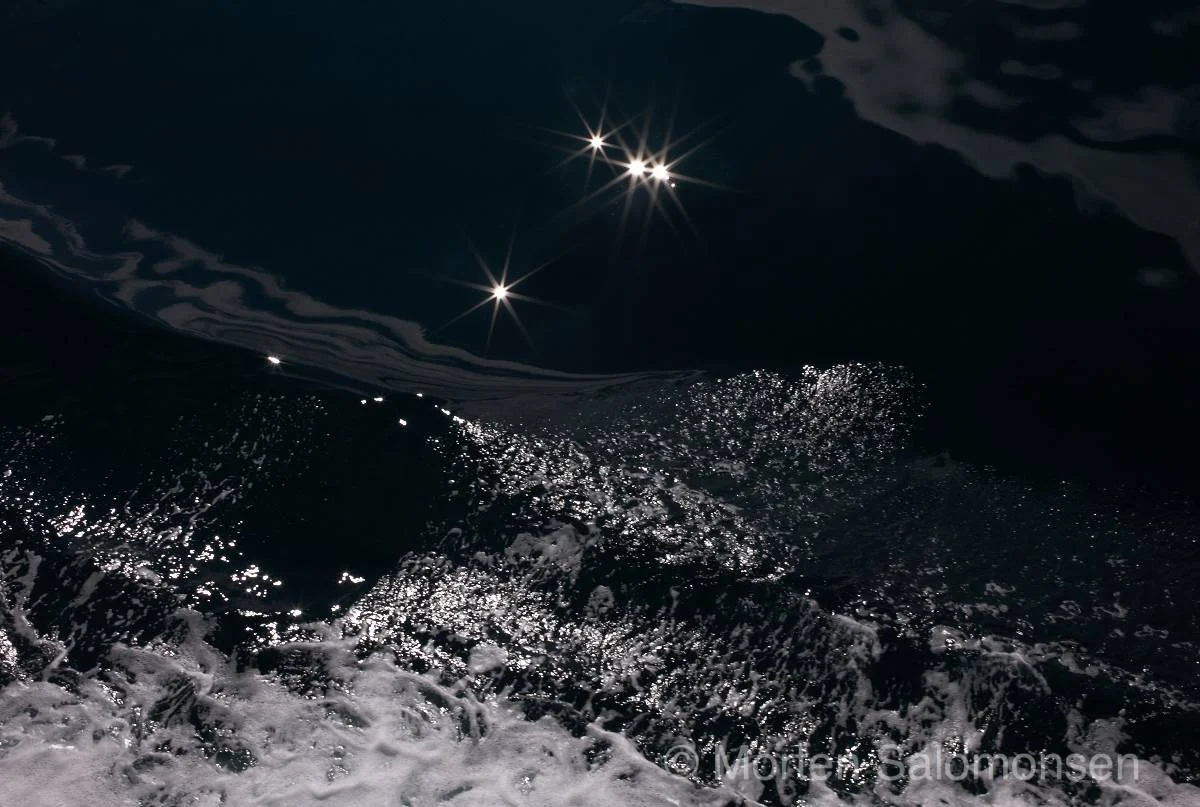 L1002653-MortenSalomonsen.jpg