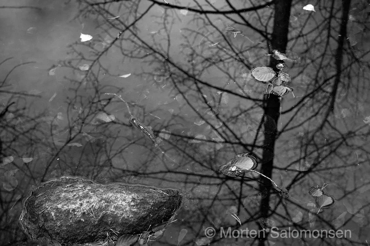 L1001868-MortenSalomonsen_v2.jpg