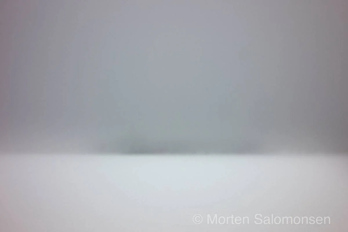 L1004803-MortenSalomonsen_v1.jpg