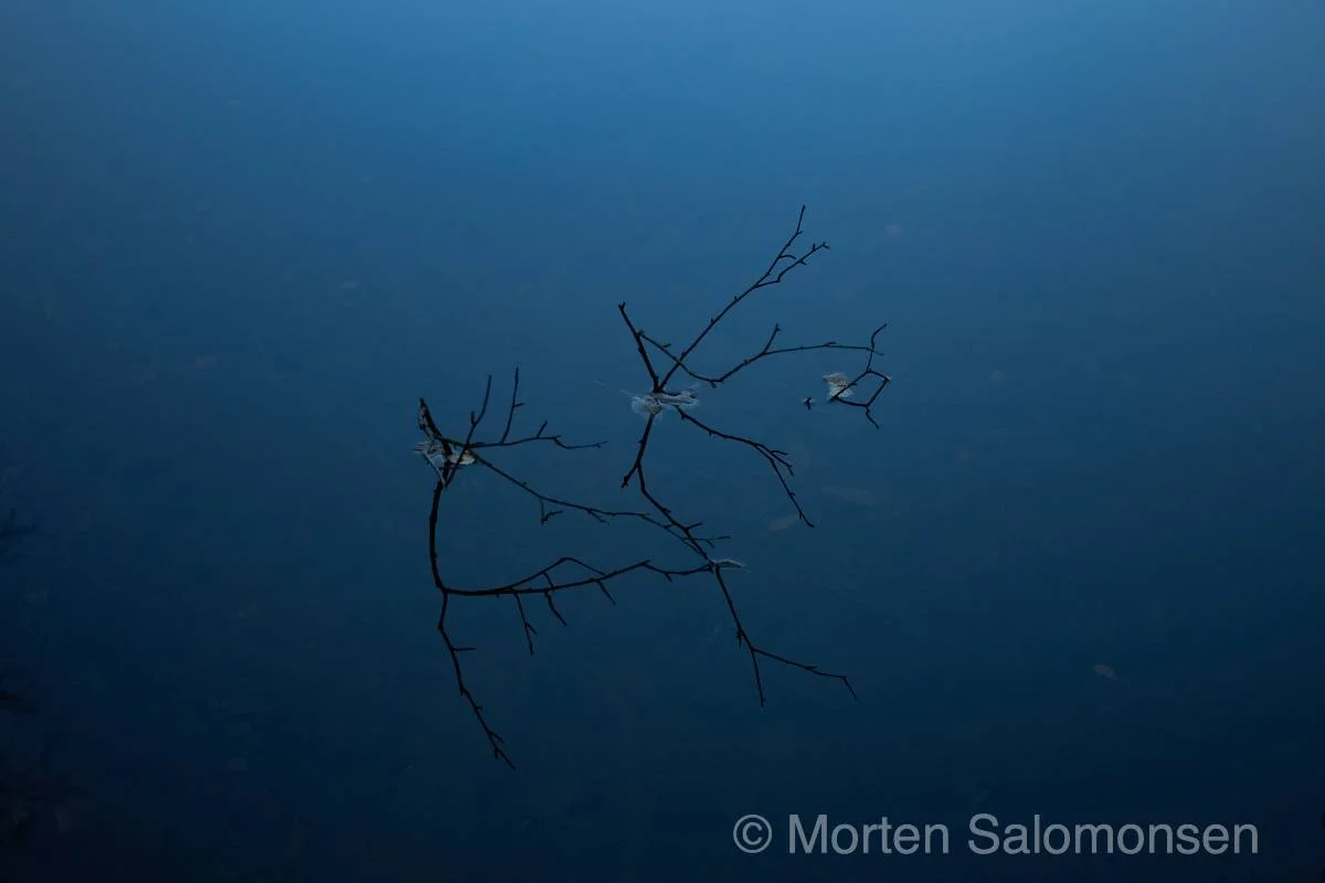 L1002951-MortenSalomonsen.jpg