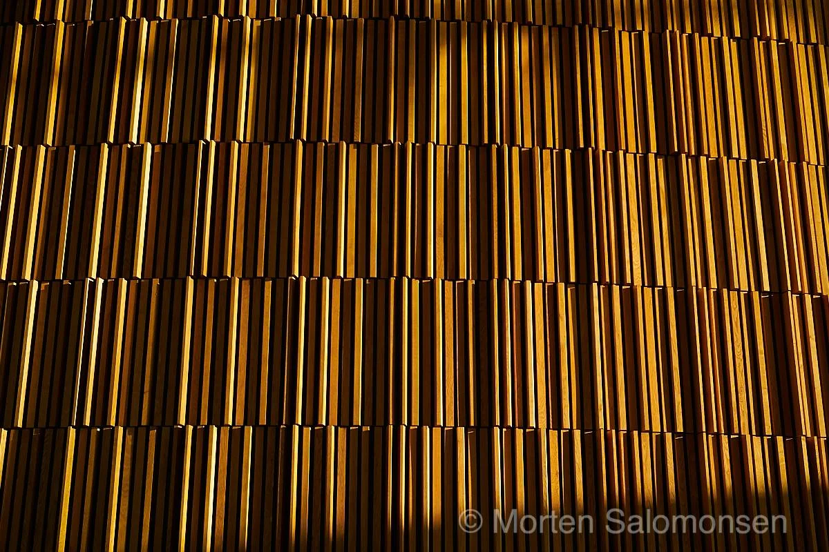 L1005021-MortenSalomonsen.jpg
