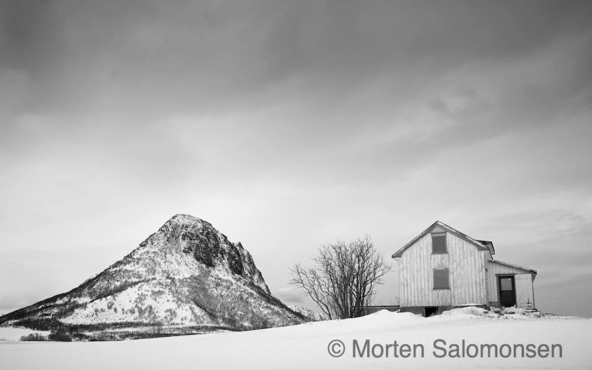 Old house