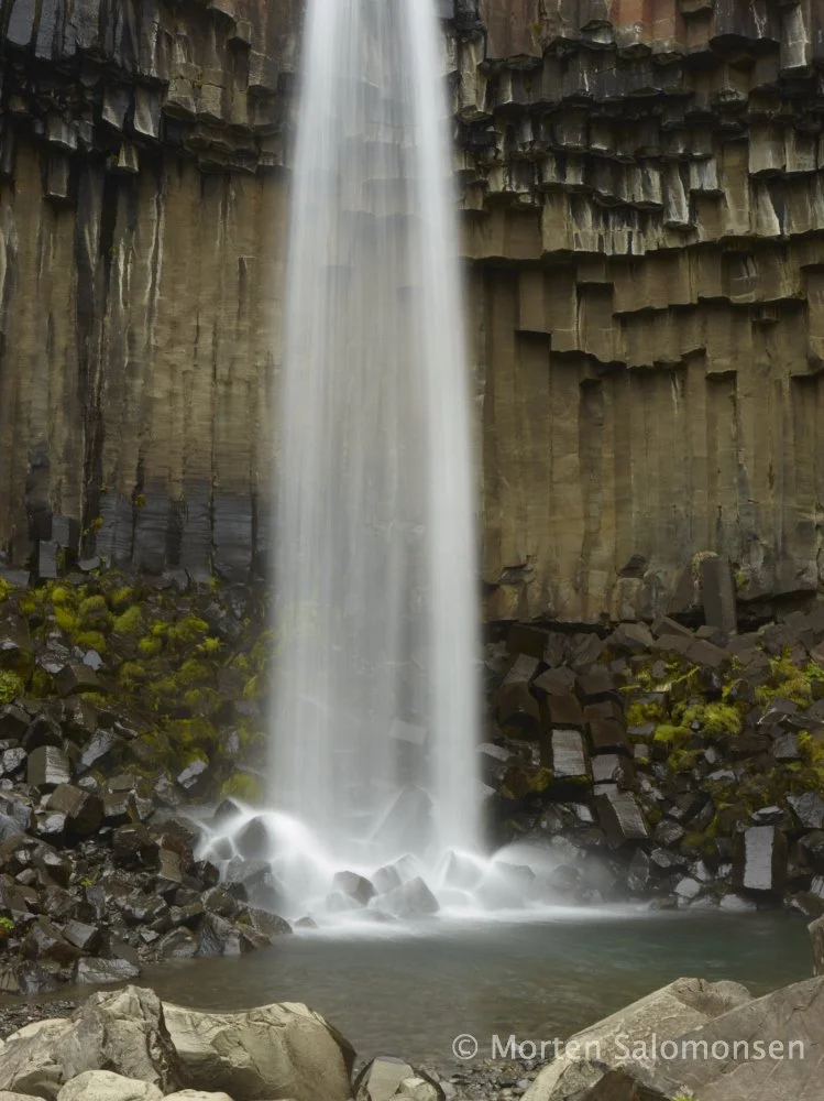 CF000397-1000pxLongEdge.jpg