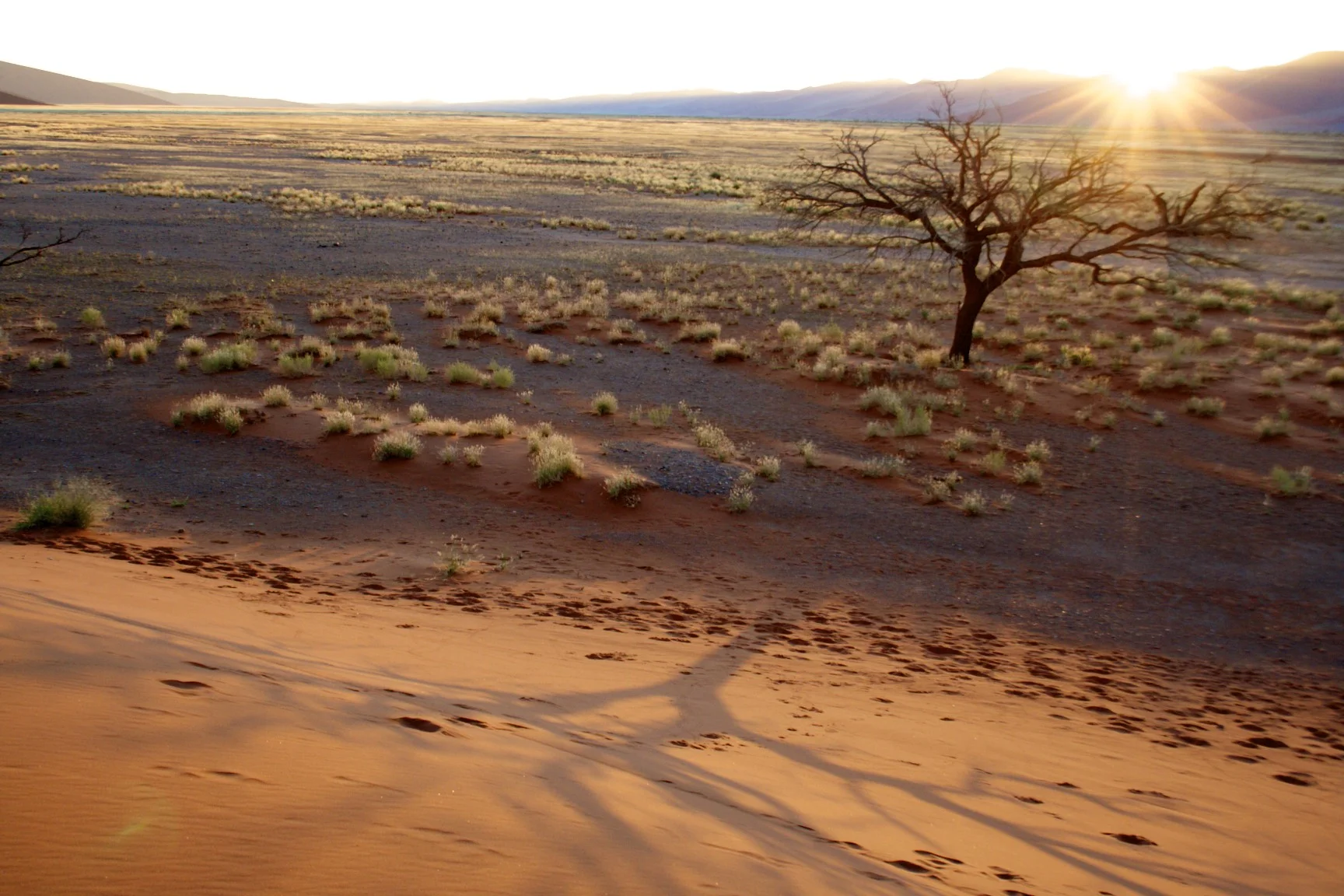 Sossusvlei