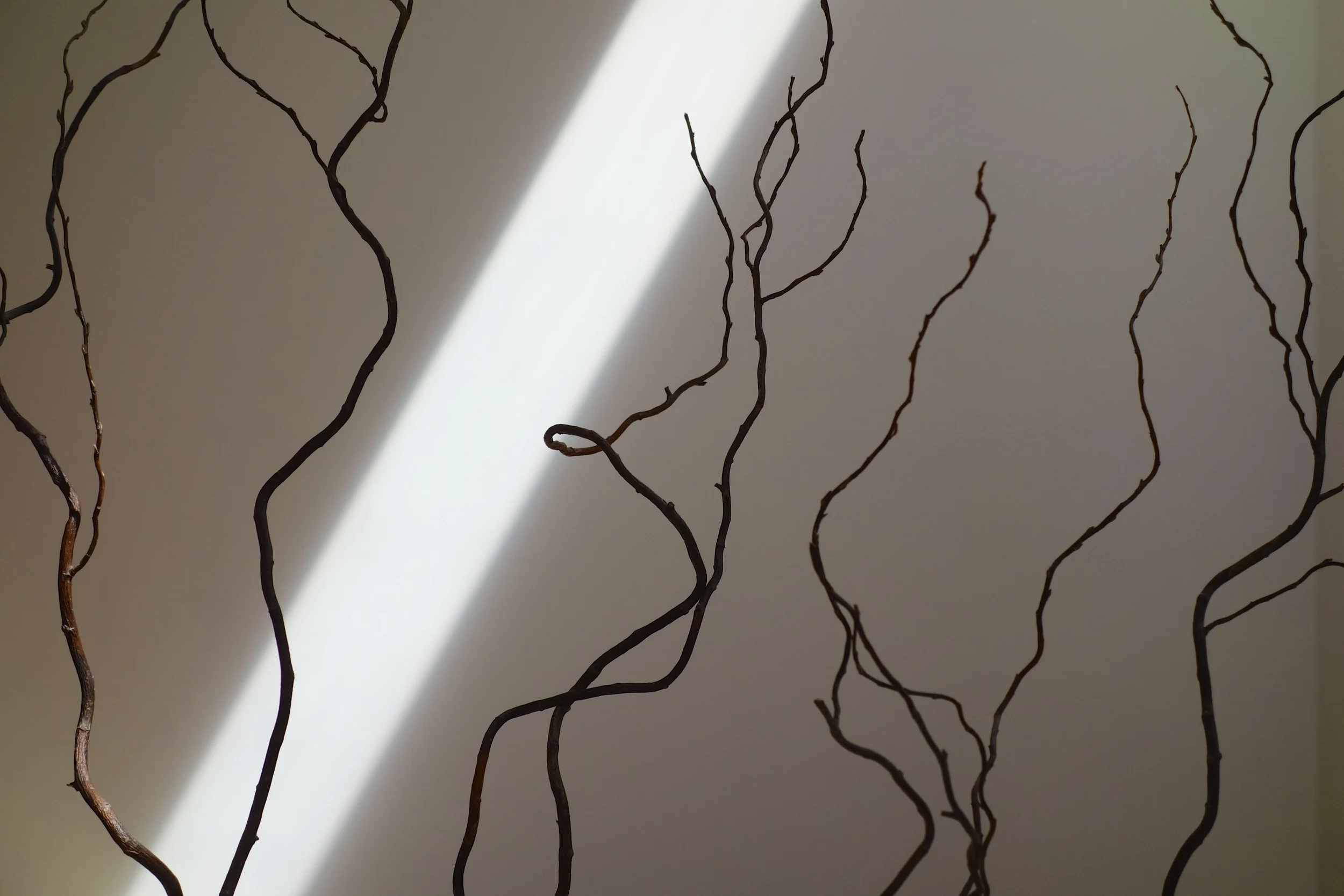 The Noguchi Museum