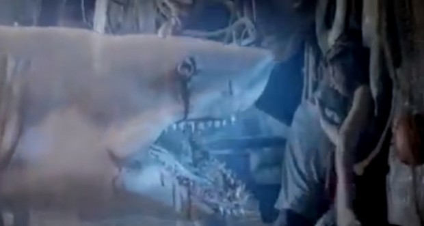 "Ghost Shark" TV Airing