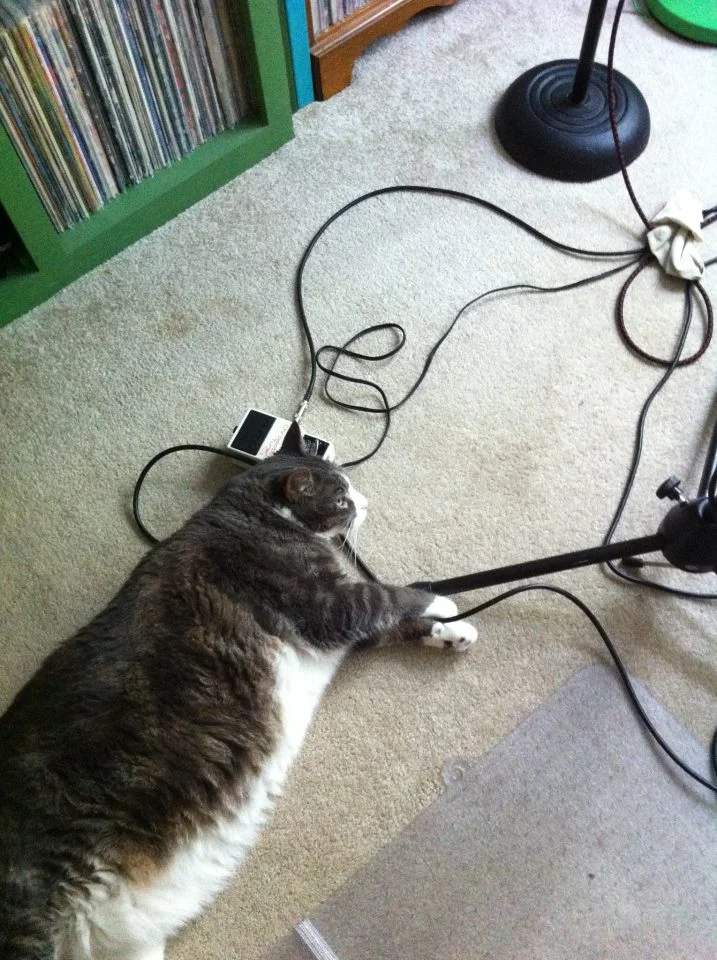 My producer, Ashford