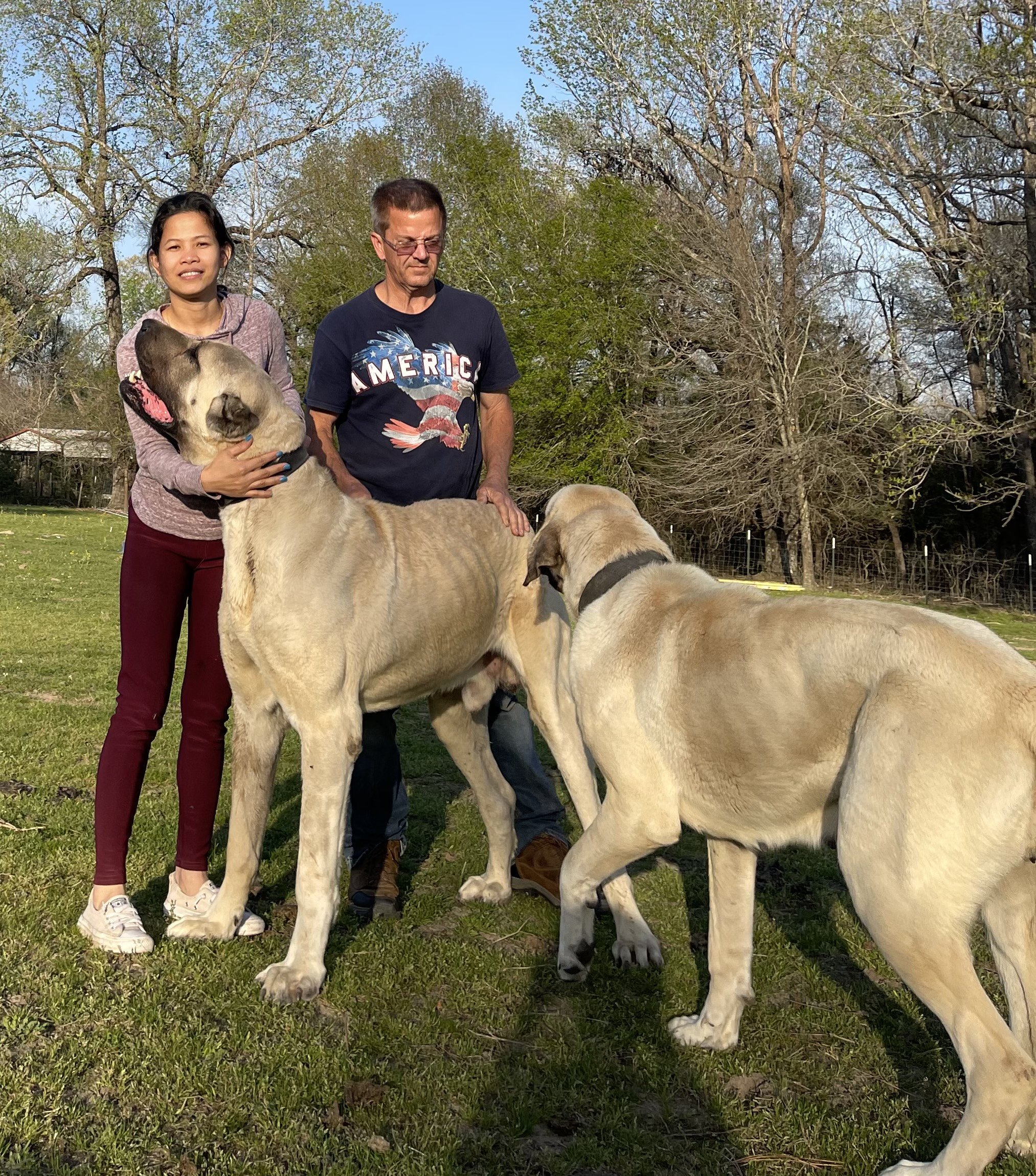 image_50452225 (1).JPG