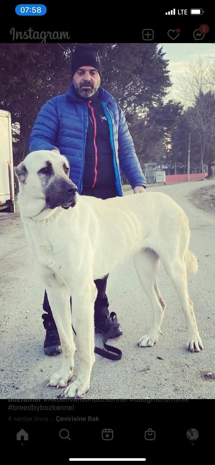 image_123650291 (17).JPG