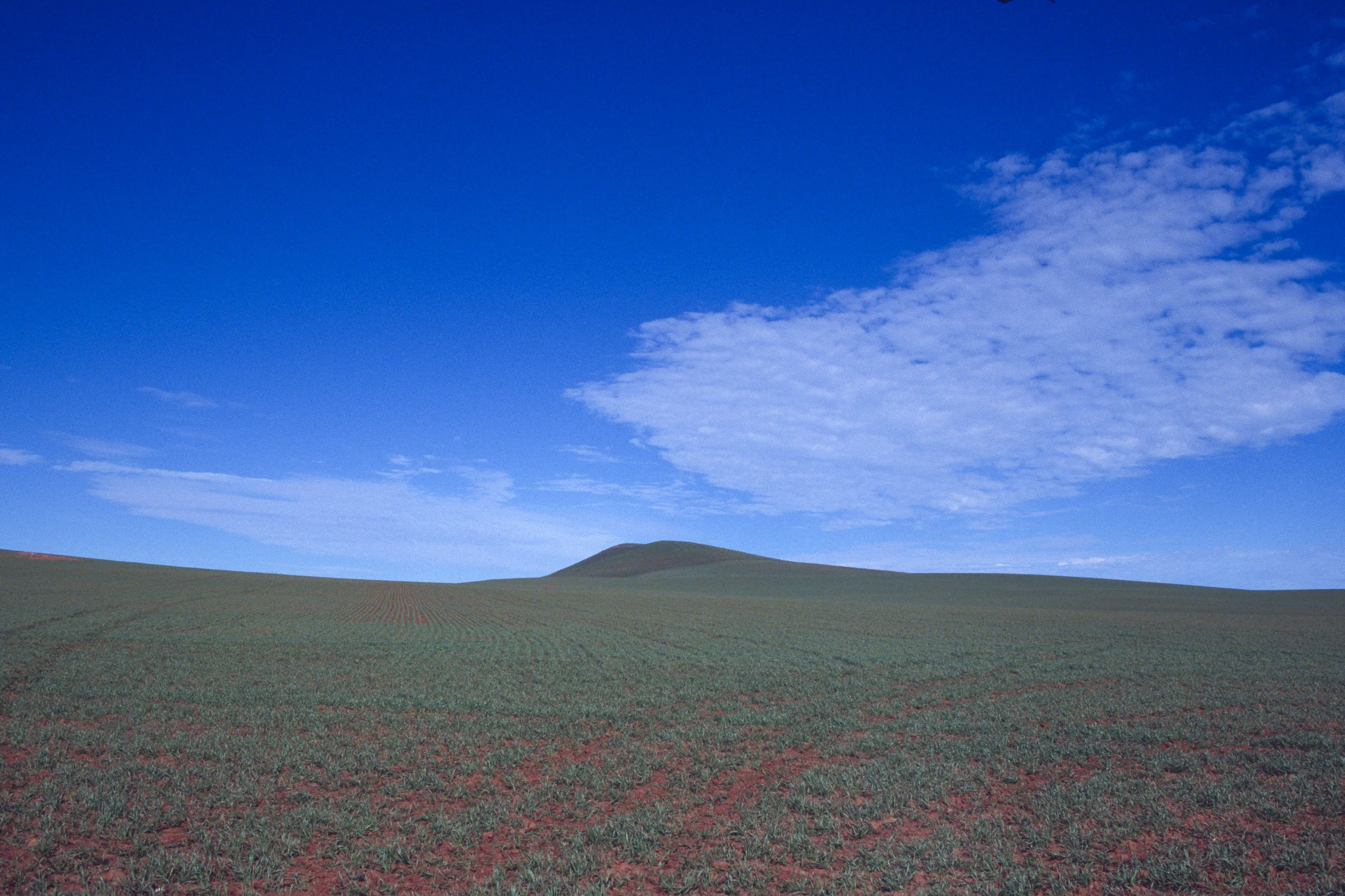 Burra Farm