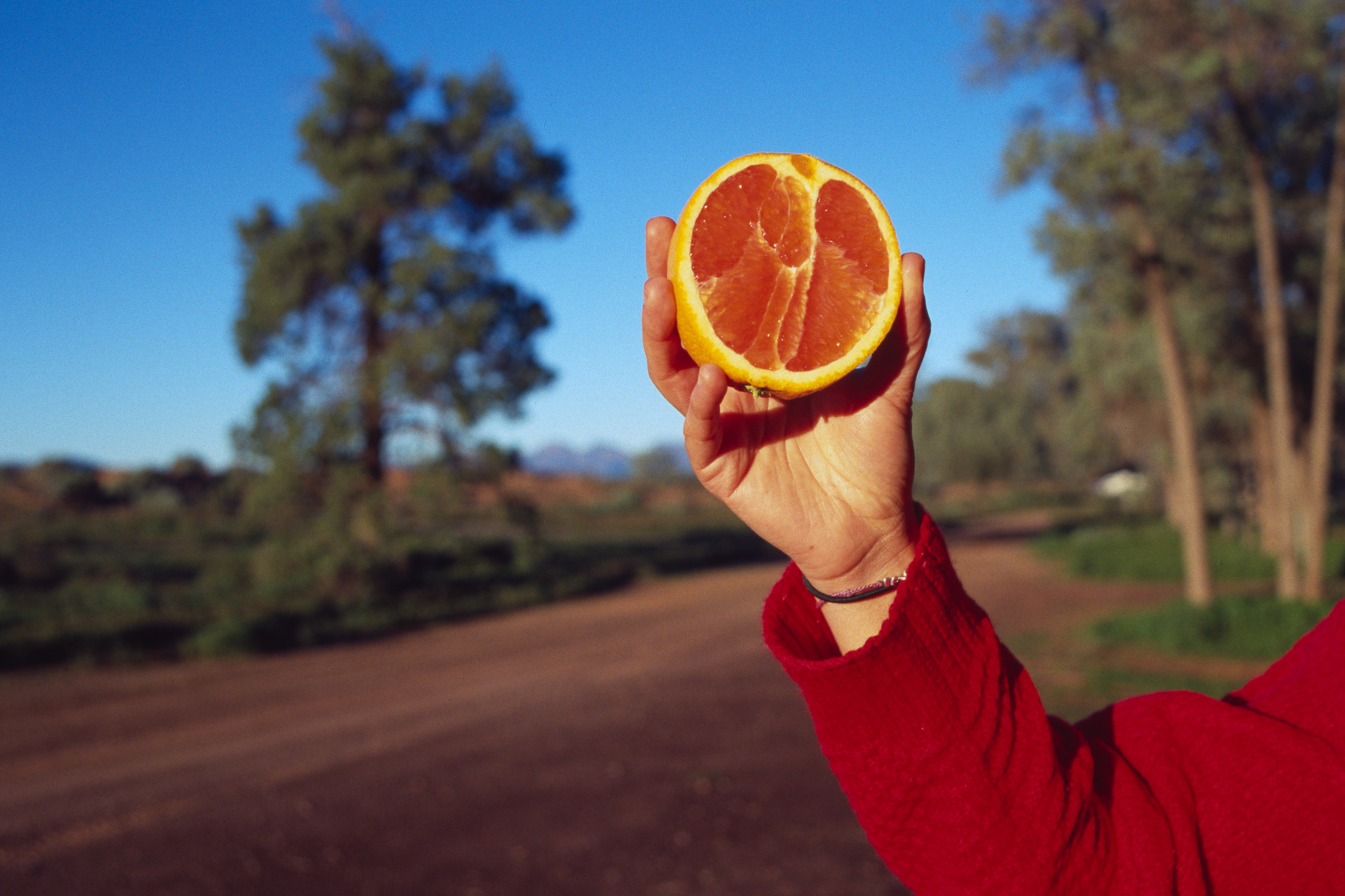 Blood Orange
