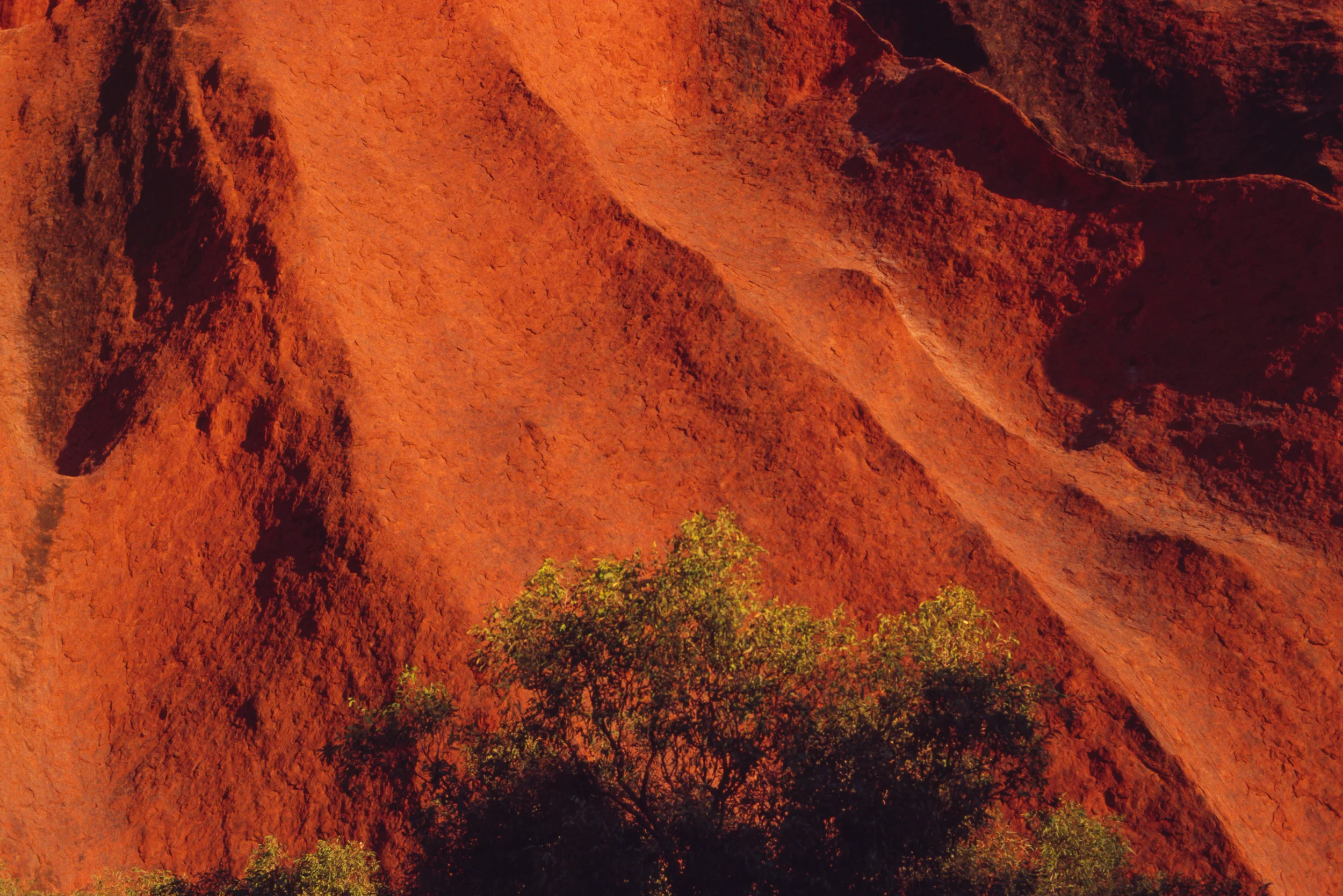 Uluru Texture v.2