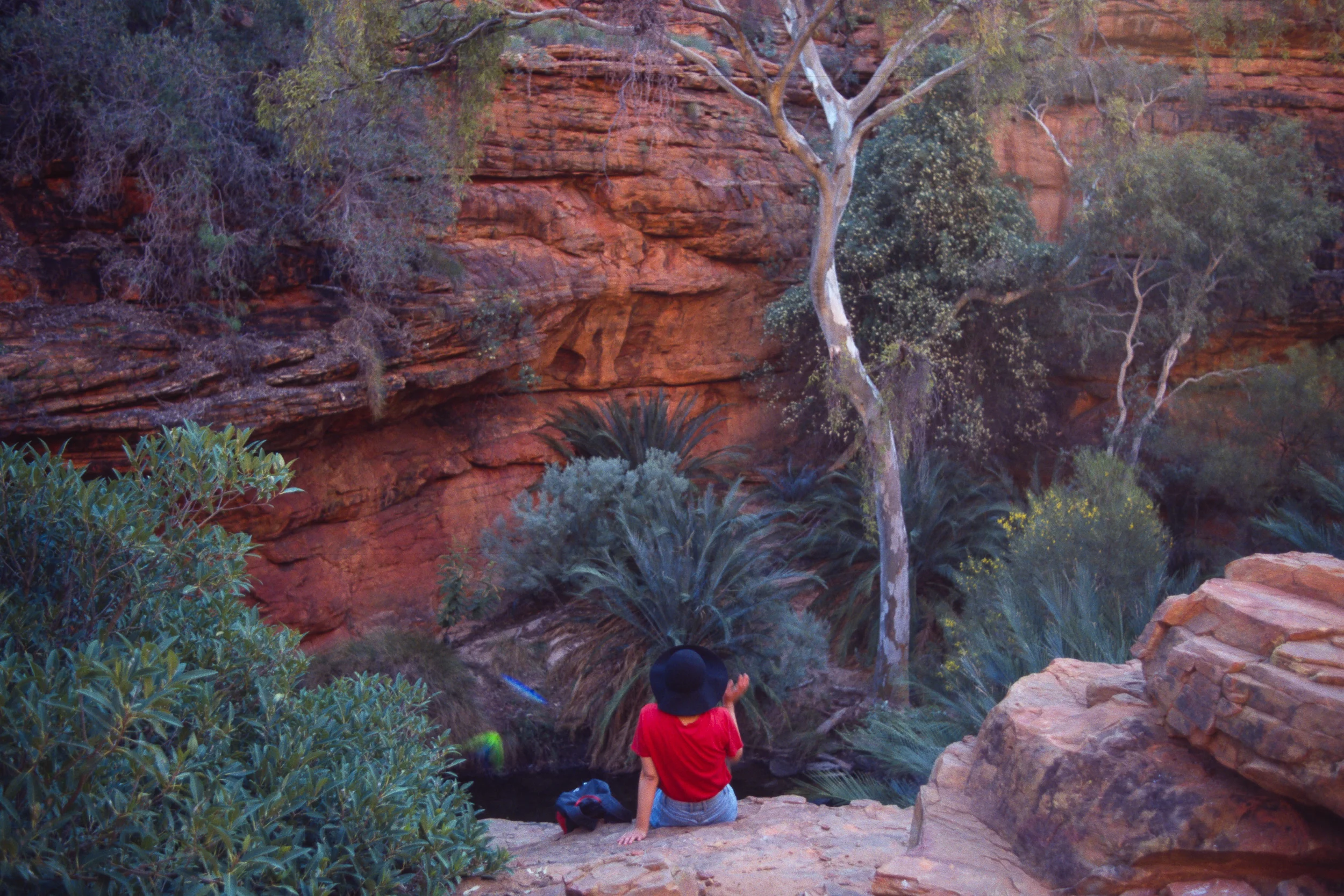 Garden of Eden