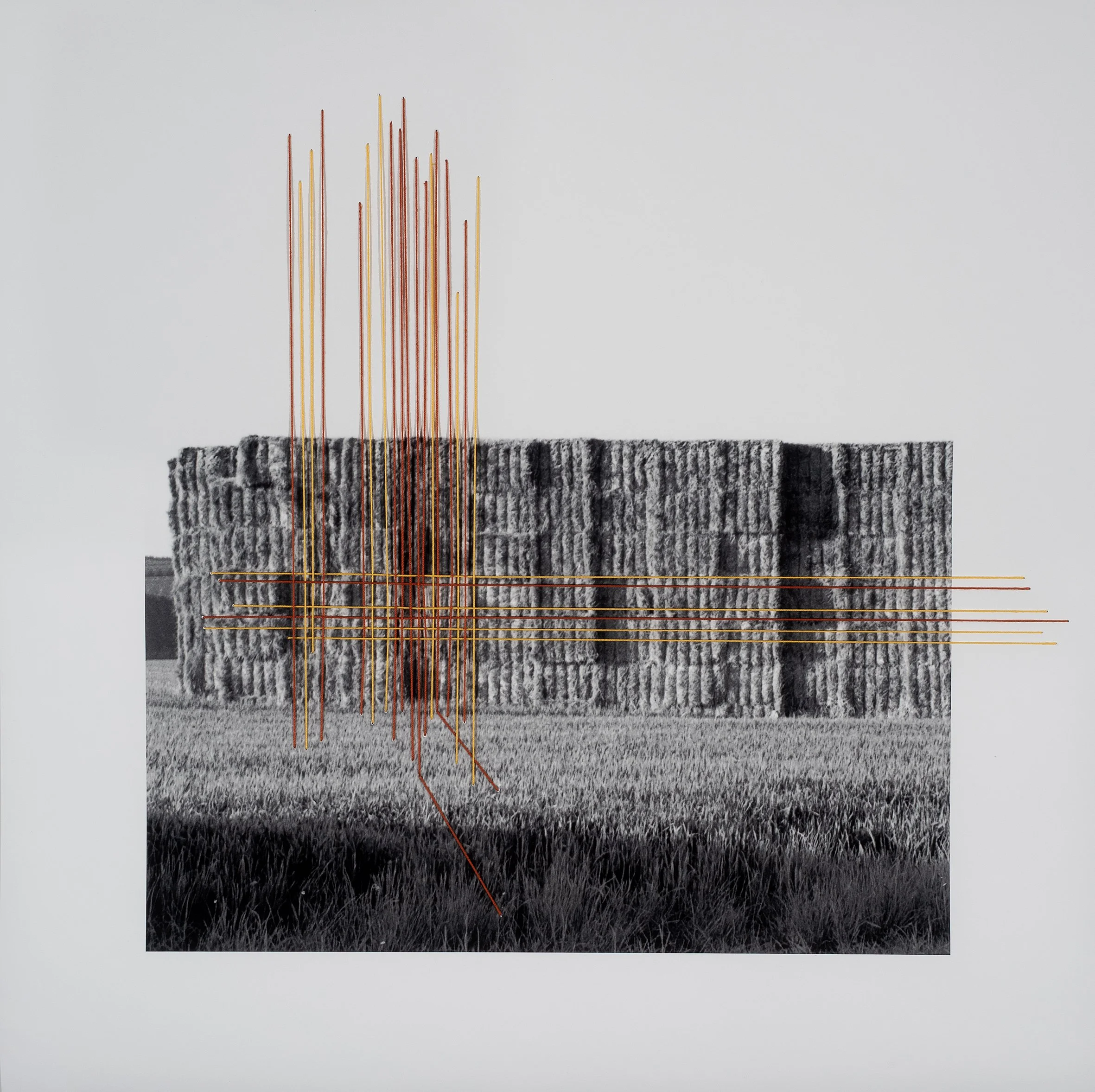 stitched landscapes #131_ 2025_fine art - print + cucito cm 60X60 Ed.1-1 fr. 4000.--.jpg